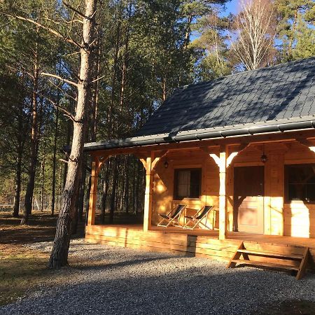 Forest Inn Trzepieciny エクステリア 写真