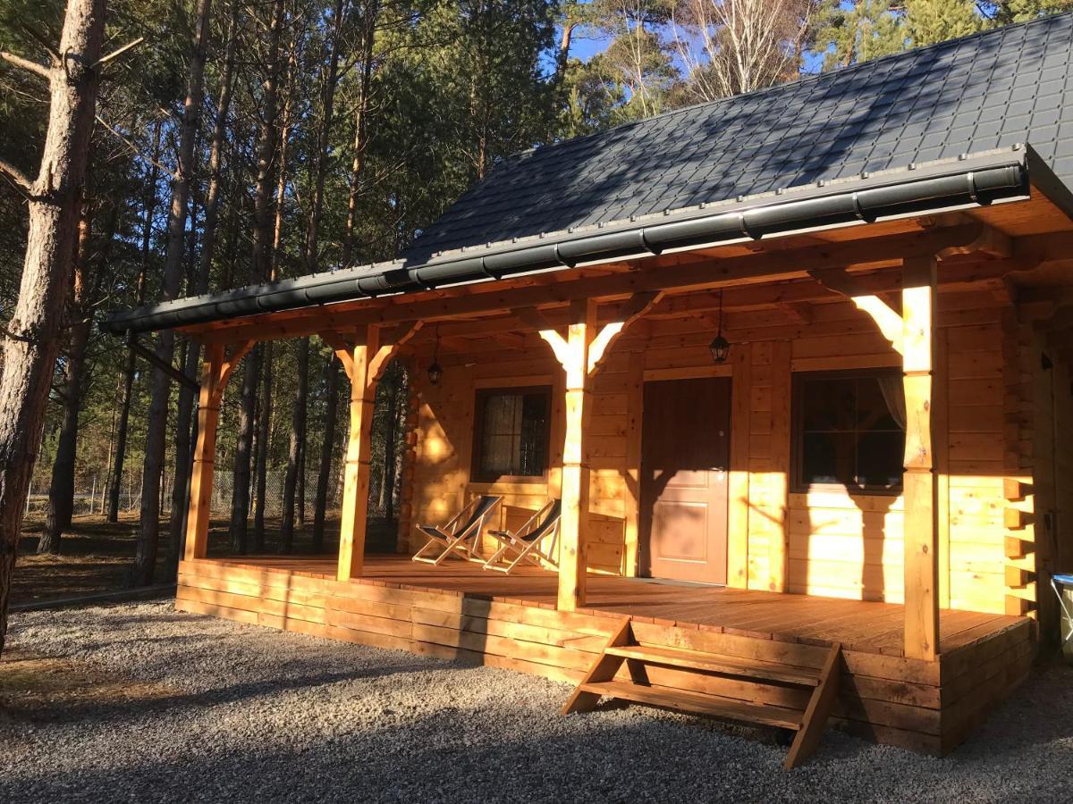 Forest Inn Trzepieciny エクステリア 写真