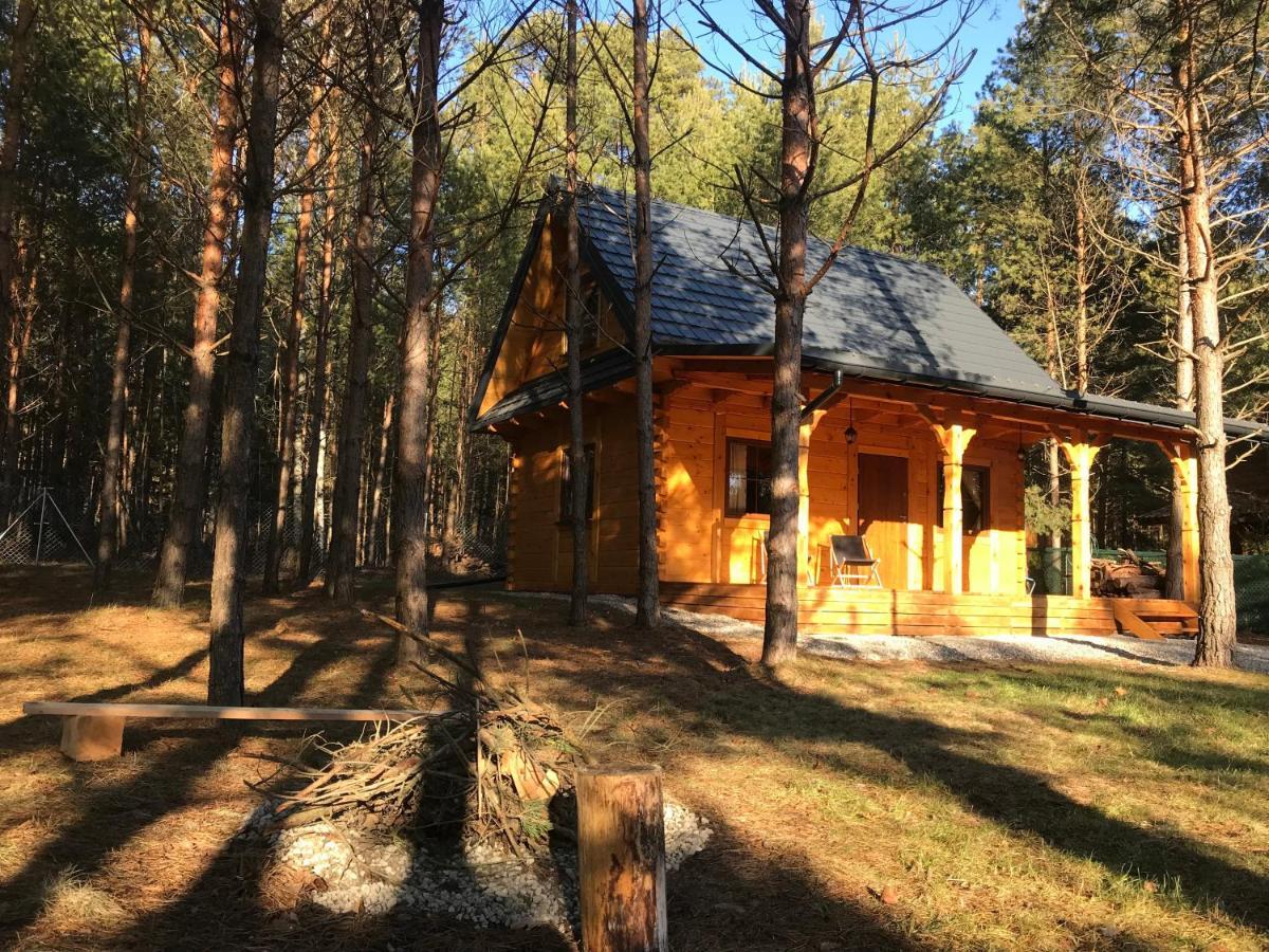Forest Inn Trzepieciny エクステリア 写真
